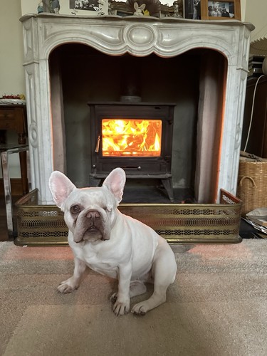 Brass fire fender regency - brass,