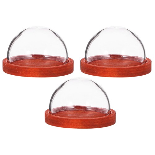 Small reusable glass dome with - dome,