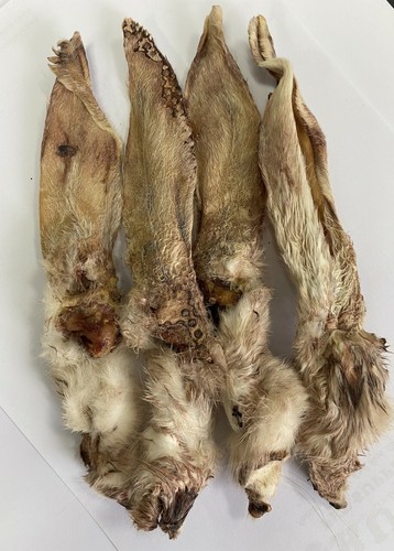 Trusty furry hairy - trusty's, 20