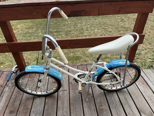 Raleigh sky queen vintage - raleigh,