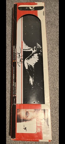 Tony hawk project 8 - tony,