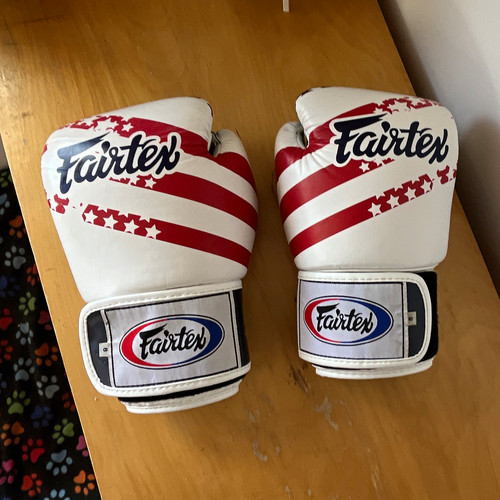 Fairtex training boxing gloves - fairtex,