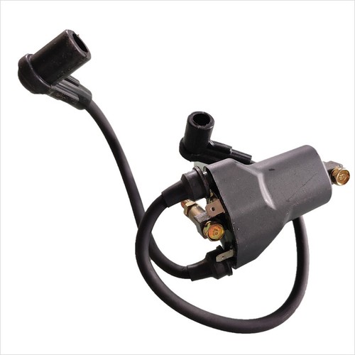 Dual ignition coil for - dual,