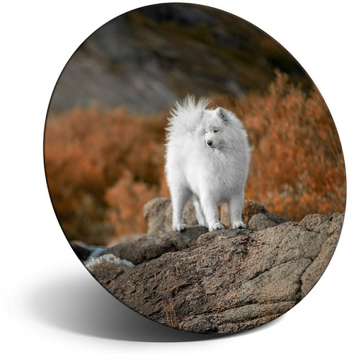 Awesome fridge magnet - magnet,