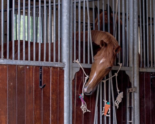 Qhp stable hanging toy - stable,