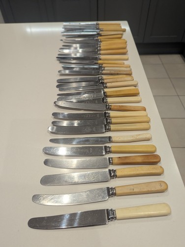 Faux bone handle knives - 33,