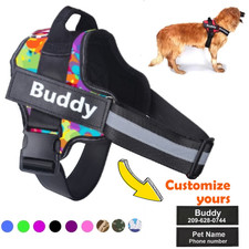 Personalised Dog Harness NO