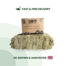 Guinea Pig Rabbit Hay Food