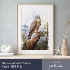Watercolour Bird Prints – Charming Wall Art Posters Featuring Beloved Birds