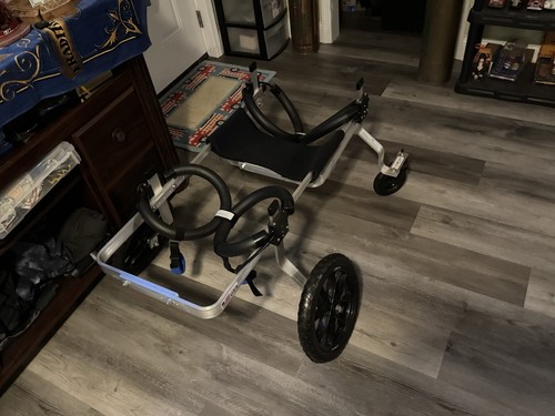 Quad wheelchair for large - wheelchair, dog