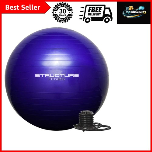 65cm exercise ball yoga swiss - exercise,