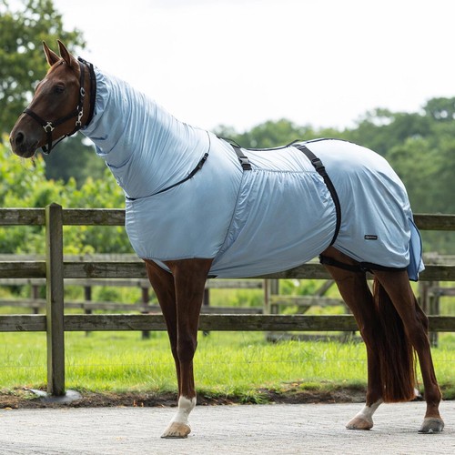 Horse sweet itch summer - summer, mesh