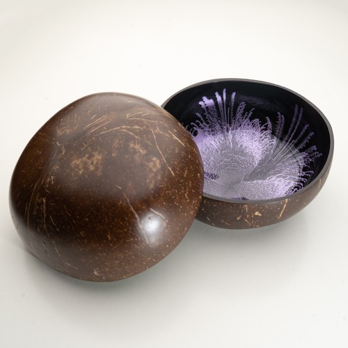 Colour lacquered coconut