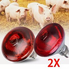 2PCS INFRA RED HEAT BULB LAMP RUBY 250W Poultry Chick Brooder Lambs Livestock UK