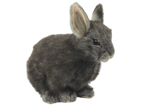 Pygmy rabbit plush - pygmy,