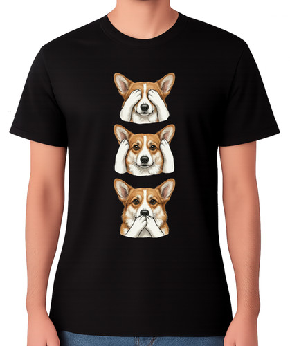 Pembroke welsh corgi see hear - pembroke,