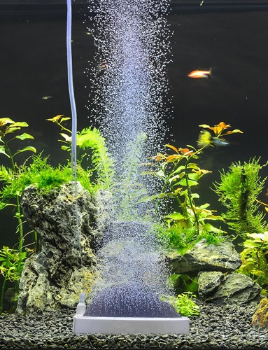 Aquarium air stone oxygen - air,