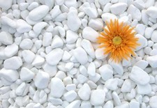 Decorative MARBLE Stones EXTRA WHITE Pebbles  HOME & GARDEN /AQUARIUM Pot 1-3cm