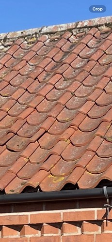 Old roof tiles 1000 - old,