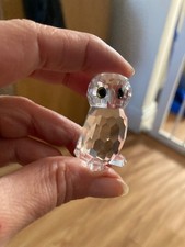 Swarovski Crystal Owlet
