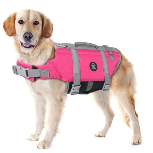 Dog life jacket safety - dog,