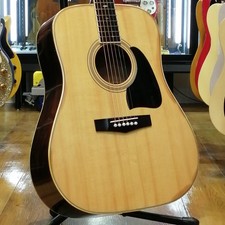 TAMA - Acoustic Guitar