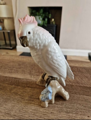 Royal dux cockatoo parrot - /, parrot"