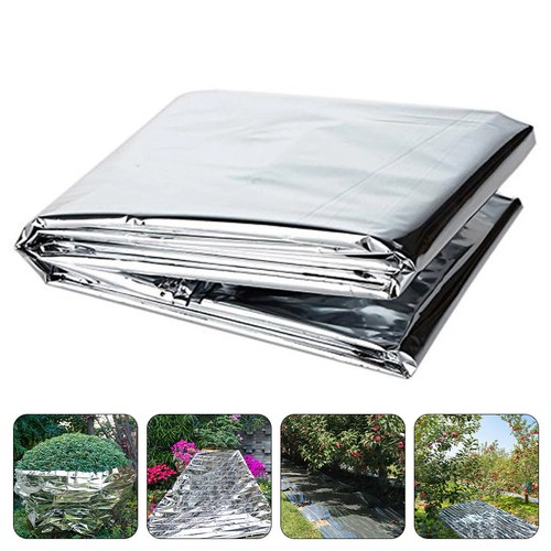 Greenhouse plastic sheeting - greenhouse,