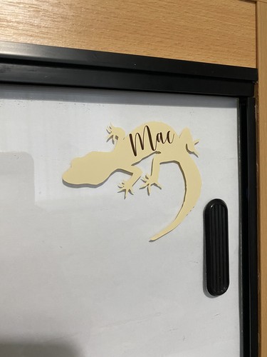 Personalised leopard gecko - leopard,