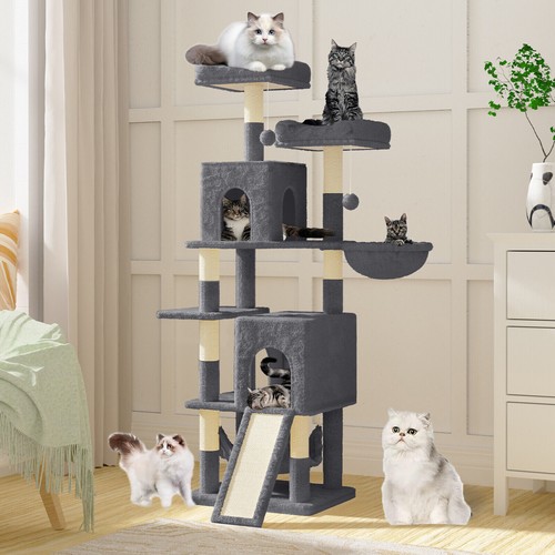 Large cat tree activity - tree,