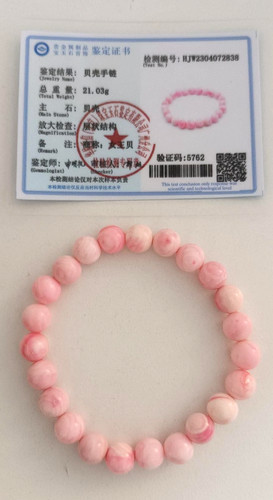 Certified natural queen conch - natural,