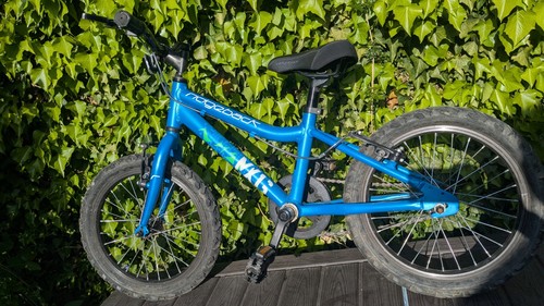 Ridgeback terrain kids - mx,