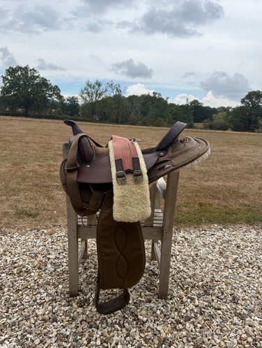 Quality big horn - quality, western