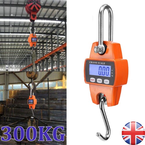 300kg electronic crane scale - electronic,