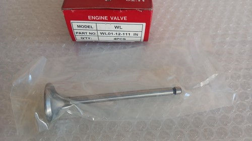 Intake valves inlet - valves, for