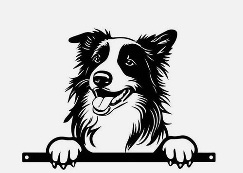 Border collie dog fence - collie,