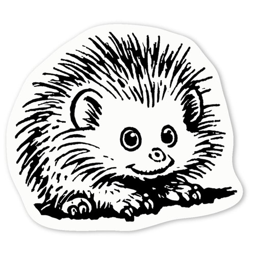 African pygmy hedgehog - 'african,