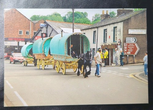 Appleby horse fair 2002 barrie - horse,