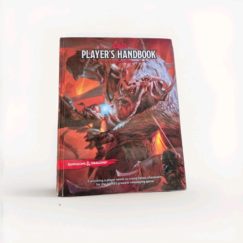 Dungeons dragons player - dungeons,