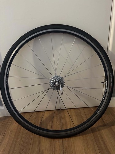 Campagnolo neutron 700c - campagnolo, road