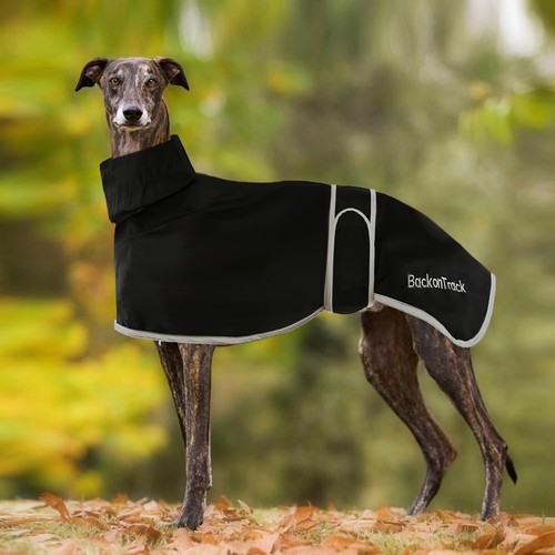 Whippet greyhound waterproof - whippet,