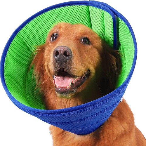 Amart2010 dog cone collar - amart2010,
