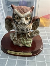 Barn Owl By Leonardo