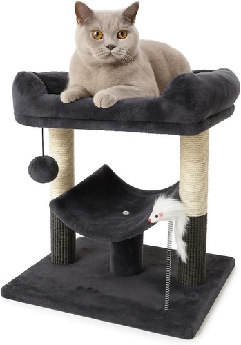 Cat tree pet - cat,