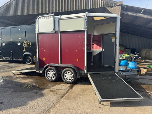 Ifor williams hb505 - ifor, horse
