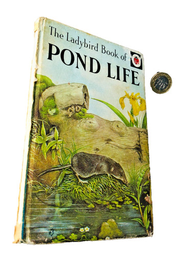 Ladybird book pond - ladybird, life