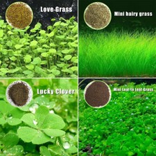 Lot Aquarium Plant Seeds Fish Tank Aquatic Water Grass Foreground Easy Plants UK