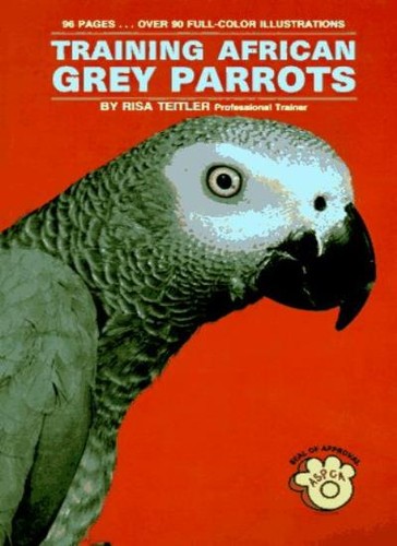 Training african grey - african,