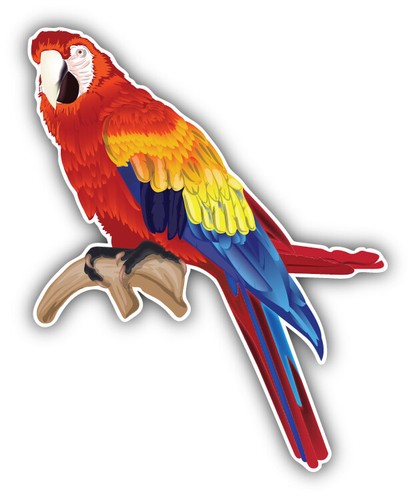Macaw parrot car - parrot, bumper