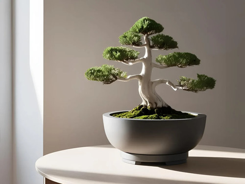 Modern minimalist bonsai pot - modern,